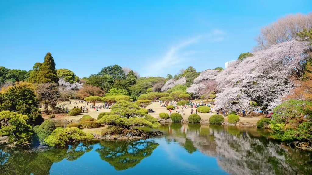 Stay in Tokyo Cheap: 2025's 5 Expert-Approved Tips 12 Shinjuku Gyoen garden