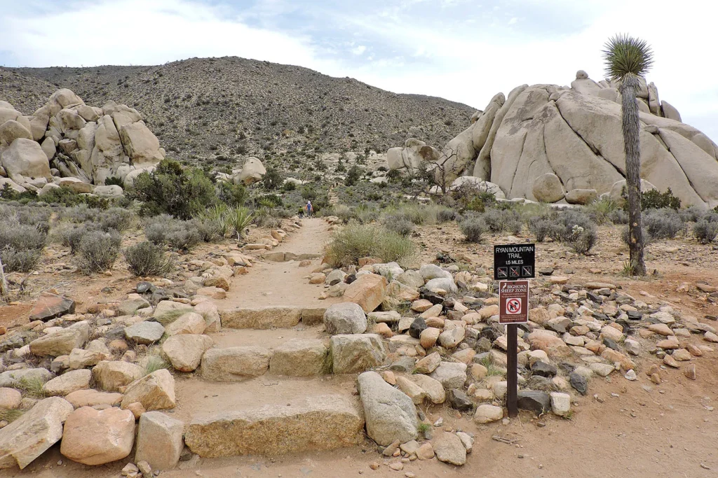 Things To Do In Joshua Tree: Park & Town Guide (2025) 4 Things To Do In Joshua Tree Ryan Mountain