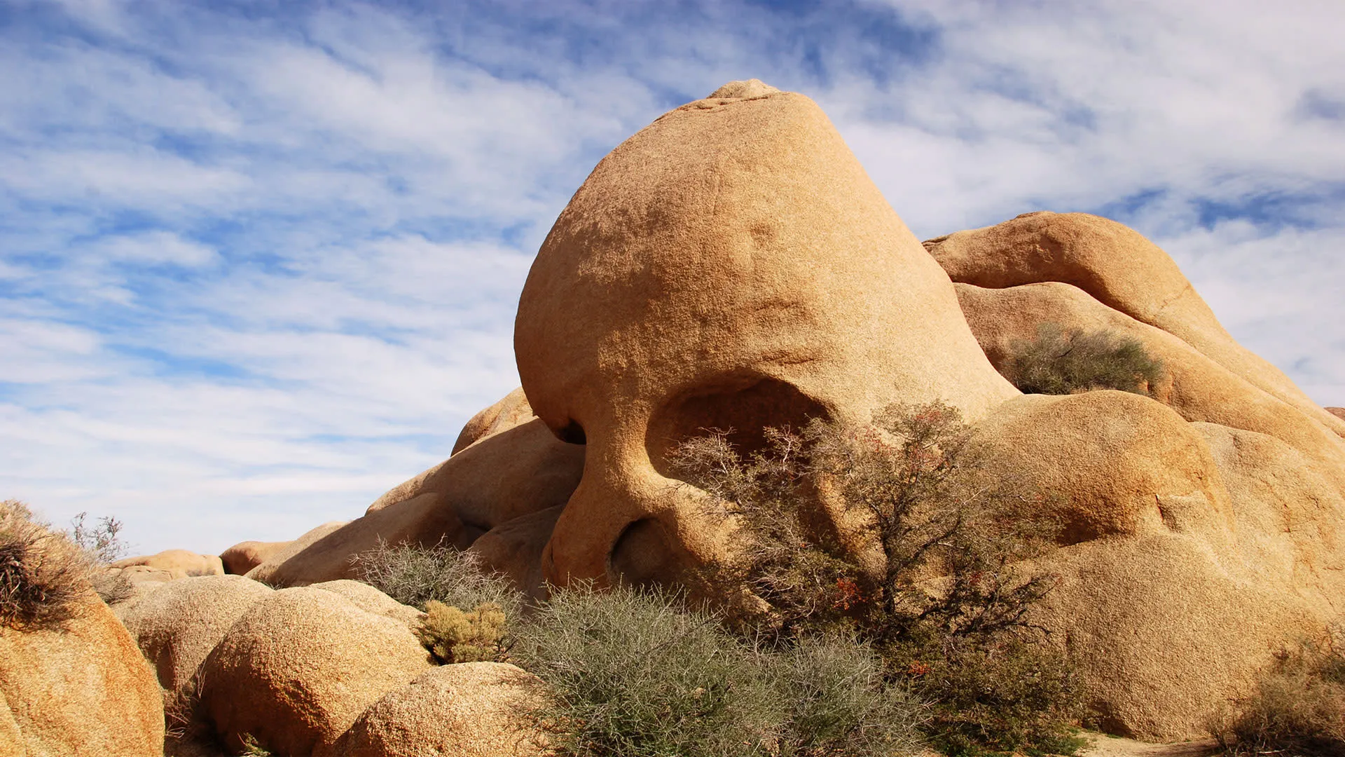things to do in joshua tree
