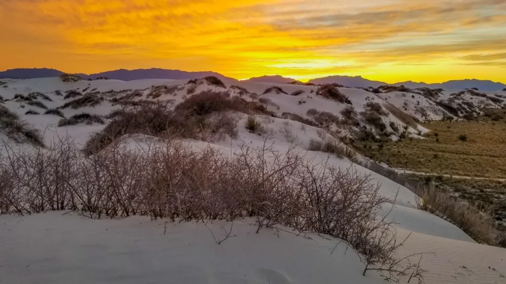 Crazy Things to Do in USA: My Top Weird & Unique Adventures 15 White Sands NM