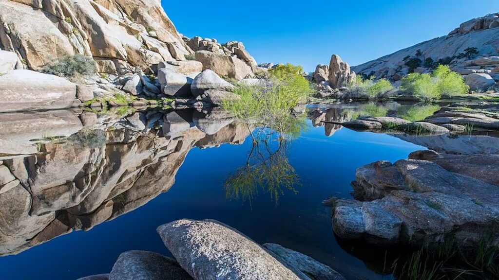 Joshua Tree One Day Itinerary: 7 Insider Sights 2025 3 barker dam