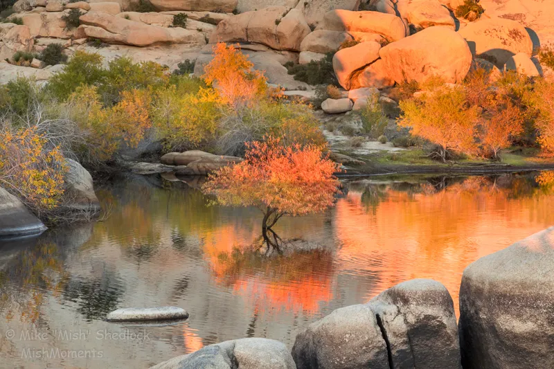 Things To Do In Joshua Tree: Park & Town Guide (2025) 10 joshua tree national park fall